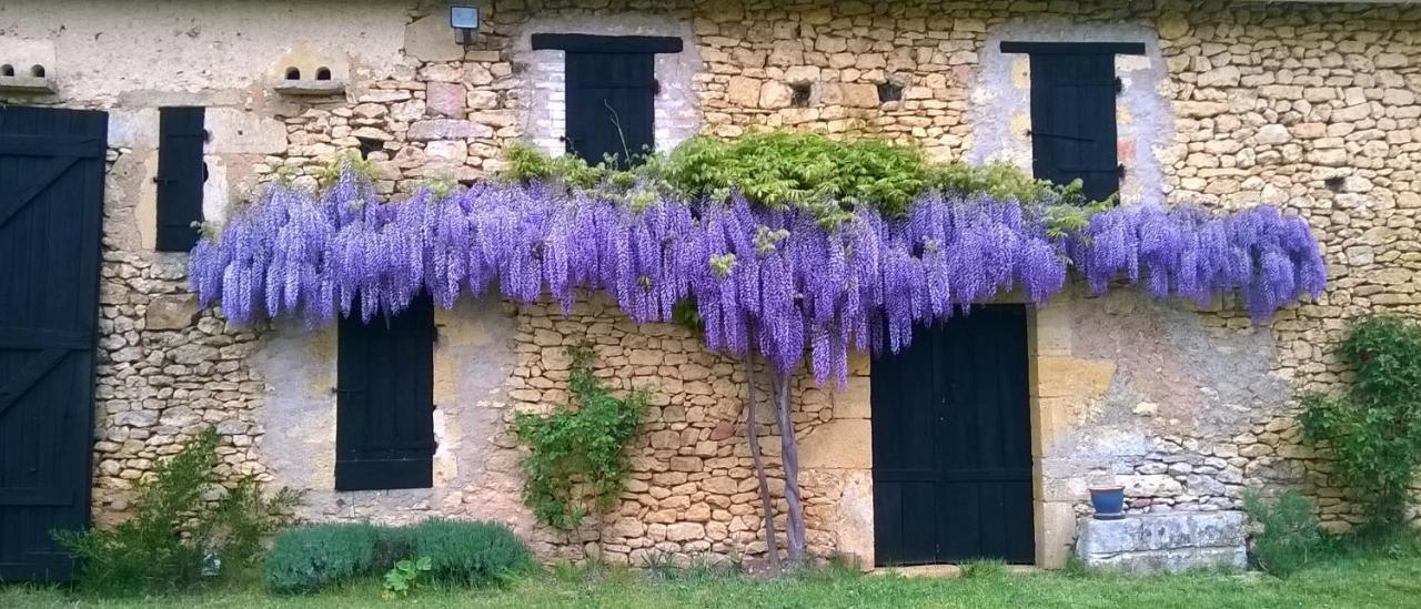 Domaine De Manilau Villa Le Buisson-de-Cadouin Exteriör bild